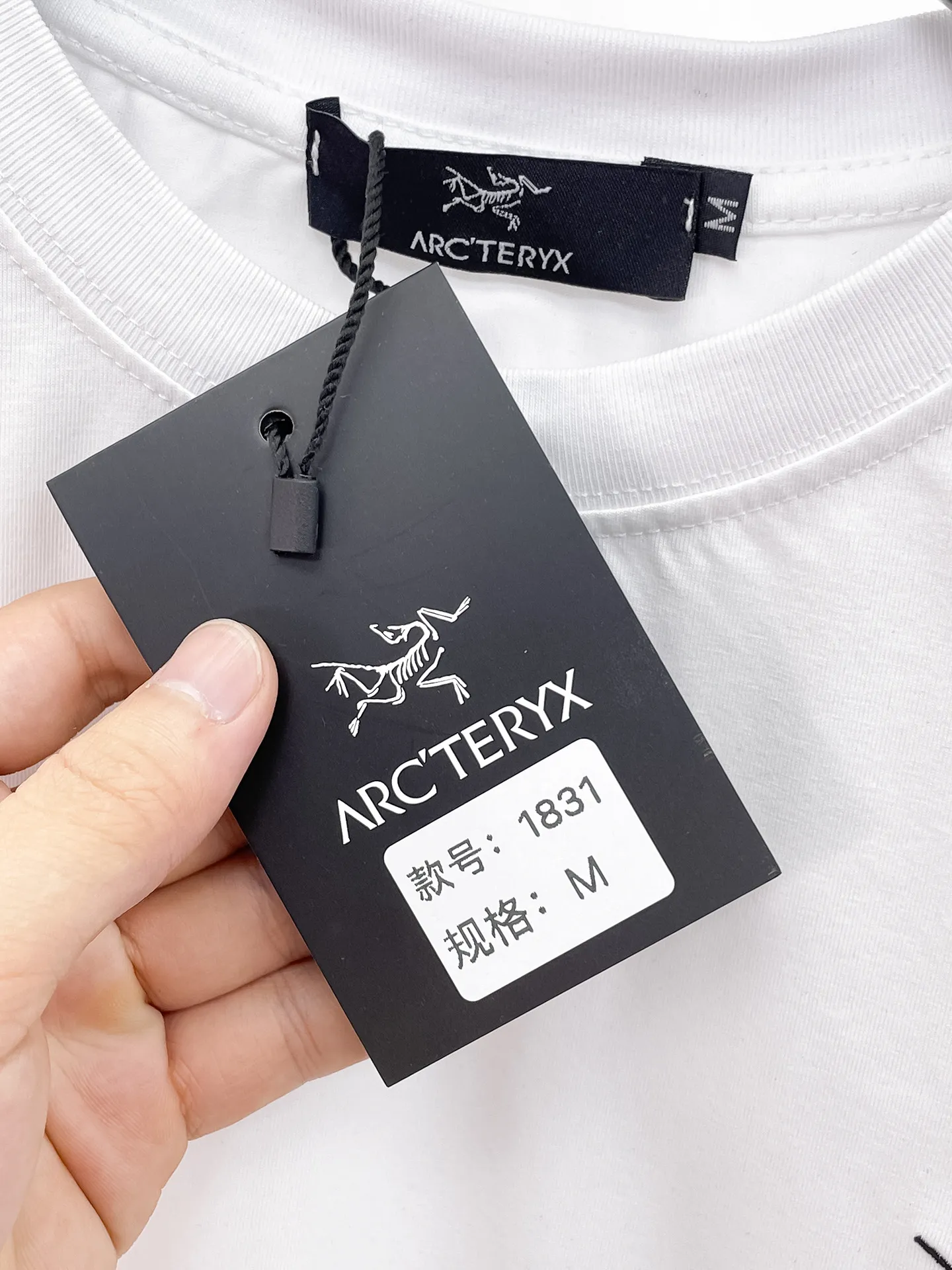 🐮2026 New Arrival New Arrival T Premium ！ logo Premium . . . . . ！ ！Sizes：M-XXXL